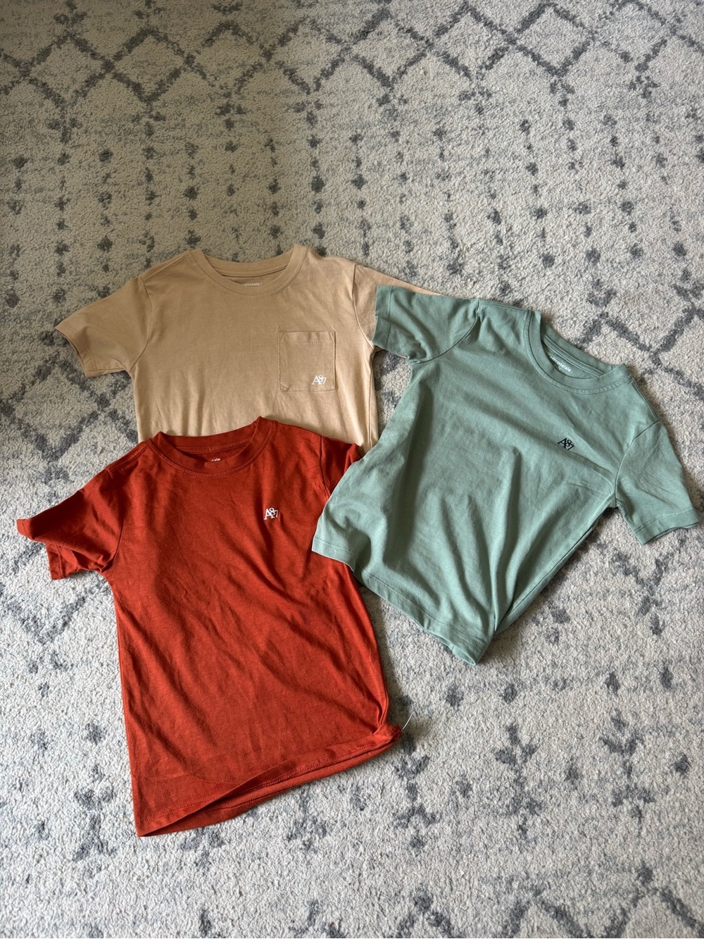 Size 5/6 Aeropostale Boys Short-Sleeve Tees in Rust, Sage & Tan